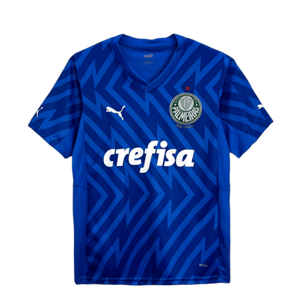 Camisa Palmeiras 24/25 – Goleiro