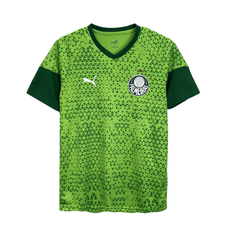 Camisa Treino Palmeiras 2024-25