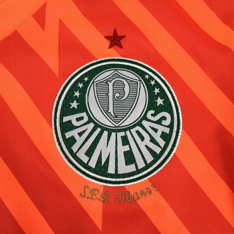 Camisa Palmeiras 2024/25 -Goleiro